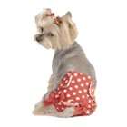 Maxs Closet Polka Dot Fancy Pants Dog Diapers   Size XSmall, Color 