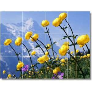  Flower Picture Bathroom Tile Mural F196  24x32 using (12 