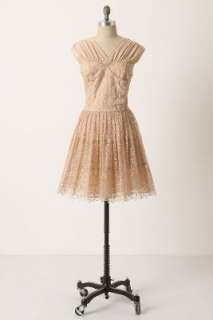Anthropologie   Pictureshow Dress  