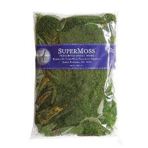  Super Moss 21512 Preserved Sheet Moss, Fresh Green, 8 