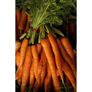  Carrot Seeds Pack, Imperator 58 Patio, Lawn & Garden