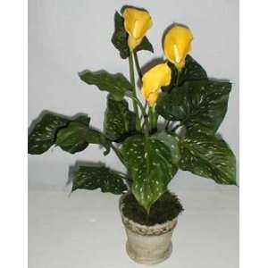  24 Yellow Calla Lily in Old World Stone: Home & Kitchen