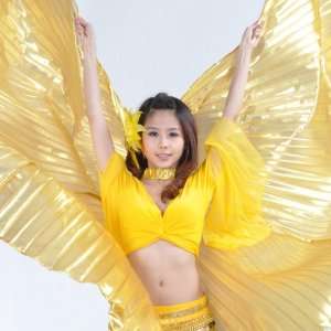  AQY New High Quality Gold belly dancing wings , with free 