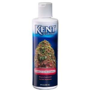  Kent Marine Strontium/Molybdenum   8 oz (Quantity of 6 