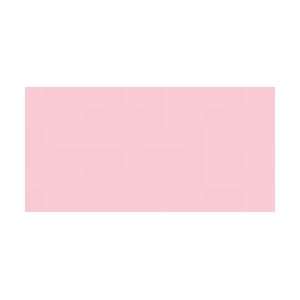  Delta Ceramcoat Acrylic Paint 2 Ounces Touch O Pink/Semi 