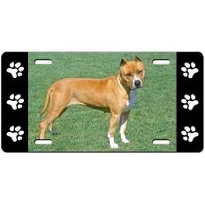    American Staffordshire Terrier License Plate: Sports & Outdoors