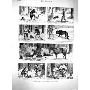   1880 Forest Life British Columbia Snow Winter Horses: Home & Kitchen