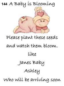 Baby Shower Seed Packets Favors 144a 30 Quantity  