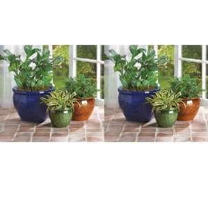  Ceramic Flower Pot Planters Set of 6: Patio, Lawn & Garden