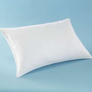    Ambient Pillow by Signature Collection®  
