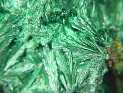 BUTW fibrous malachite lapidary crystal specimen 2750B  