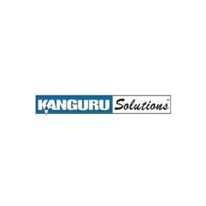  Kanguru Solutions 11A KD POUCH Kanguru Carry Case 
