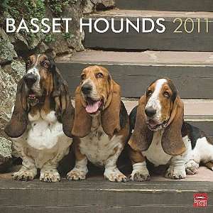  Basset Hounds 2011 Wall Calendar: Office Products