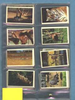 Cig Card Set . Cigarette cards of Animal Life  
