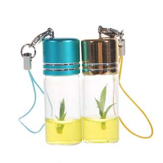 Real Growable Bamboo Plant In a Bottle Keychain  