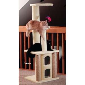  Watchtower Cat Tree Color: Oatmeal Carpet: Pet Supplies