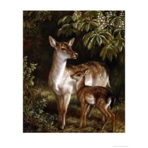  Doe with Her Fawn Giclee Poster Print by Samuel John 
