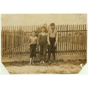  Photo Noon at Delta Cotton Mills, Mc Comb, Miss. Three of the young 