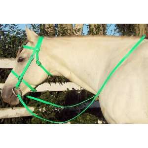   Green English Beta Biothane Horse Bridle & Reins: Sports & Outdoors