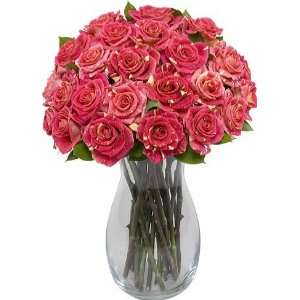 Two Dozen Fiesta Roses with Jordan Vase  Grocery & Gourmet 