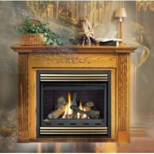 BGNV36N 37 Zero Clearance B Vent Fireplace Natural Gas Top Vent 