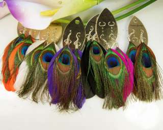 Mixed Peacock pheasant Feather Dangle Earrings 6 Pairs  