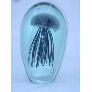  Jellyfish Paperweight Color Black 8 x 4.5 (Glow in Dark)   Jelly 