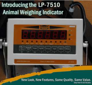 COMPLETE BRAND NEW MANUAL CATTLE / LIVESTOCK CHUTE WITH DIGITAL SCALE 