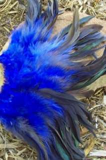 50 1/2 BRONZE ROYAL BLUE ROOSTER SCHLAPPEN FEATHERS 5 7  