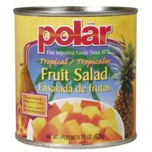 Tropical Fruit Salad 24pack/15oz.:  Grocery & Gourmet Food