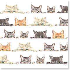   Magnet Cat LOTS of Cats Peeking   Robert George Bowdige USA  