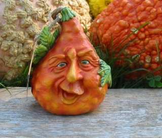 Halloween Curious Garden Small Pumpkin Gourd Sculpted Face  