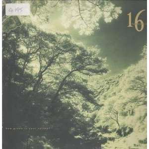   IS YOUR VALLEY LP (VINYL) GERMAN ARISTA 1989 16 TAMBOURINES Music